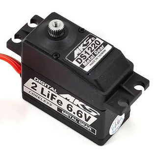 DS1220 Digital High-Torque Servo